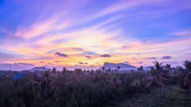Prajuab Kirikhan güzel sabah