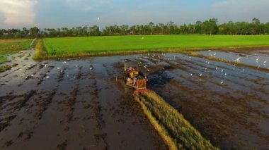 Çiftçi kullanım traktör zemin hazırlamak