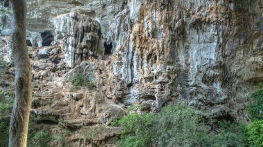 Fotoğraf dron tarafından büyük mağara içinde