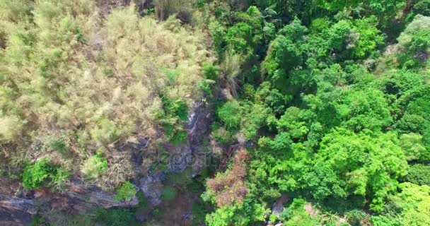 Aerial photography above amazing cave — Stock Video