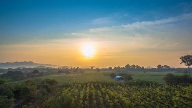 Yeşil alanların güzel manzara