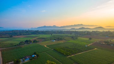 Yeşil alanların güzel manzara