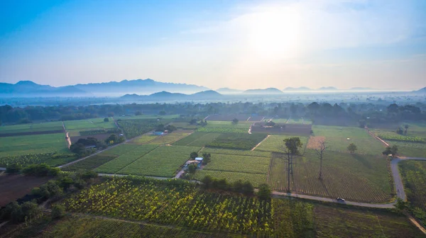 Yeşil alanların güzel manzara