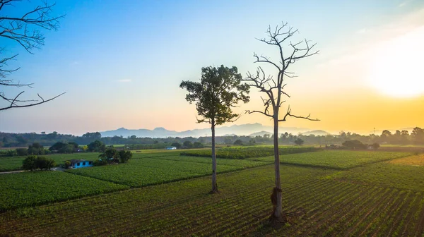 Yeşil alanların güzel manzara