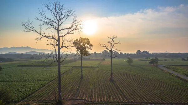 Yeşil alanların güzel manzara