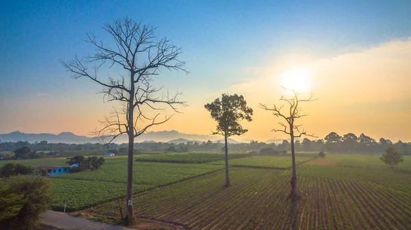 Yeşil alanların güzel manzara