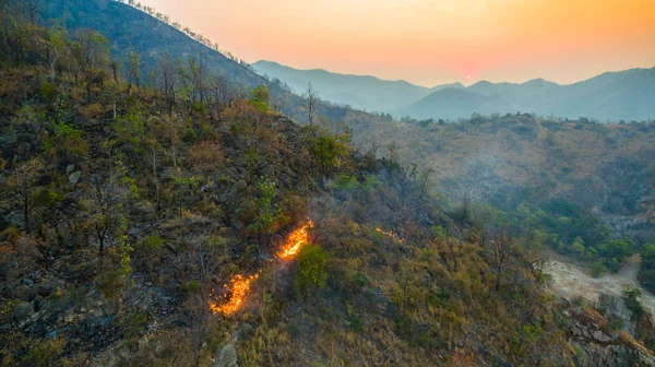 Sunshine on the wildfire — Stock Photo, Image