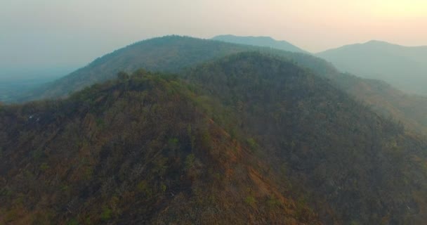 Incendio forestal en la montaña — Vídeo de stock