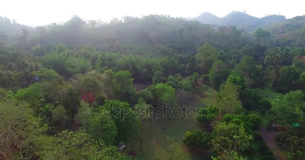 Amanecer por encima de los campos de frutas — Vídeos de Stock