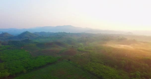 Amanecer por encima de los campos de frutas — Vídeos de Stock