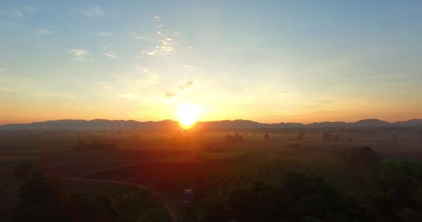 Восход солнца над плодовыми полями — стоковое видео