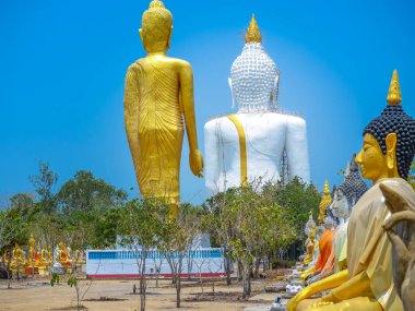 Buda duruş birkaç heykelleri