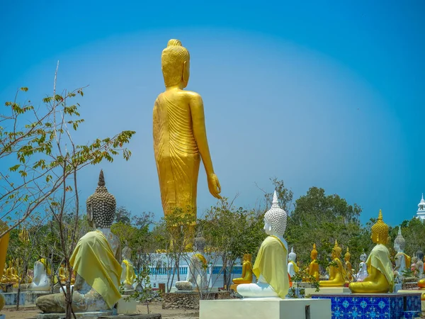 Buda duruş birkaç heykelleri — Stok fotoğraf
