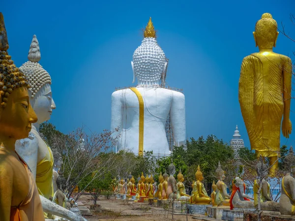 Mehrere Statuen der Buddha-Haltung — Stockfoto