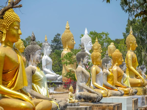 Várias estátuas de postura de Buda — Fotografia de Stock