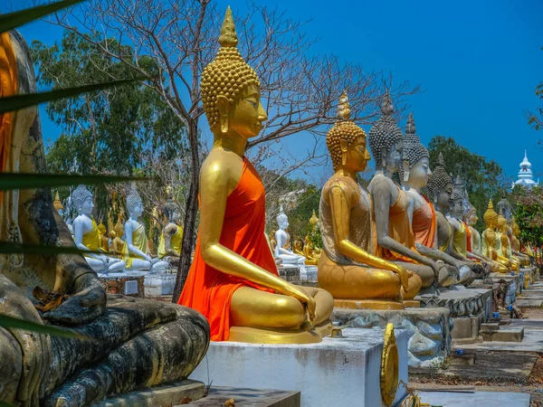 Mehrere Statuen der Buddha-Haltung — Stockfoto