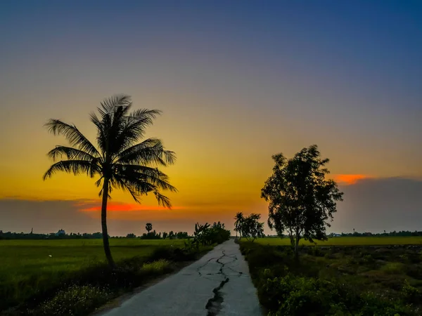 Грязь от жары до рисовых полей — стоковое фото