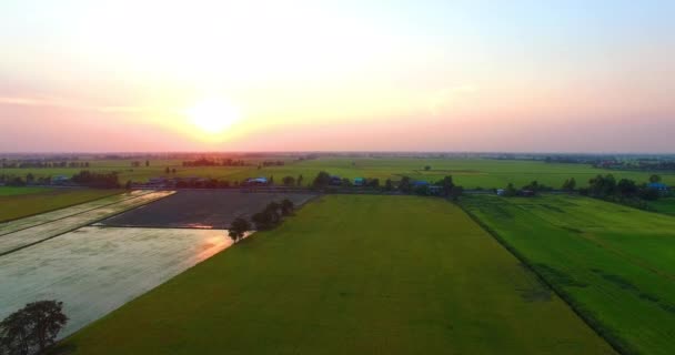 Por do sol acima dos campos de arroz . — Vídeo de Stock