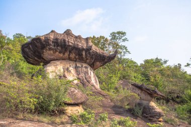 şaşırtıcı doğal taş heykel