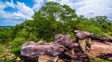 Sao Chaliang mantar taşı