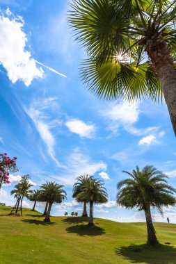 Mavi gökyüzünde beyaz bulutlar