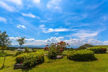 Mavi gökyüzünde beyaz bulutlar