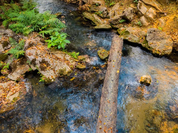 Un árbol muerto utilizado para el transporte a través del canal —  Fotos de Stock