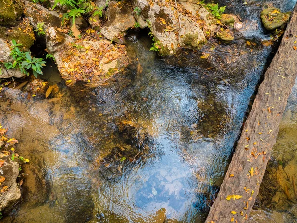 A dead tree used for transport across canal — Stock Photo, Image