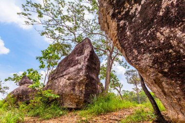 yüksek Dağı'nda büyük kaya
