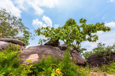 yüksek Dağı'nda büyük kaya