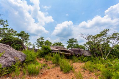 yüksek Dağı'nda büyük kaya