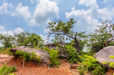 yüksek Dağı'nda büyük kaya
