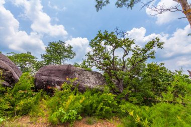 yüksek Dağı'nda büyük kaya