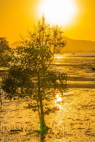 golden sky above Chalong bay shore