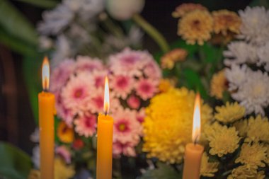 çiçek için Tanrı'ya dua ayarla