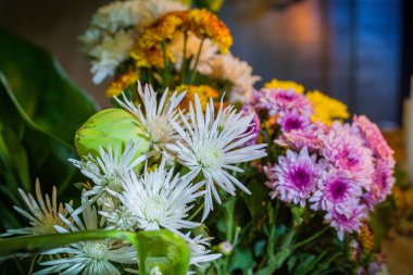 çiçek için Tanrı'ya dua ayarla