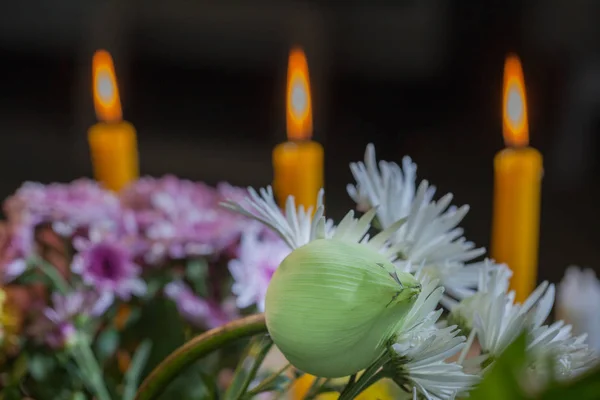 Conjunto de flores orando por Deus — Fotografia de Stock