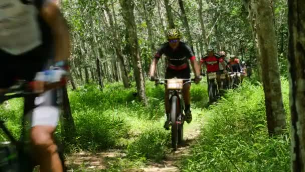 Bicycle racing in Khao Phra Thaeo national park — Stock Video