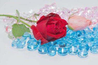 kırmızı gül ve pembe gül çiçek üzerinde mavi değerli taşlar vardır.