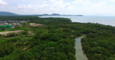 Mangrove ormanındaki kanal.