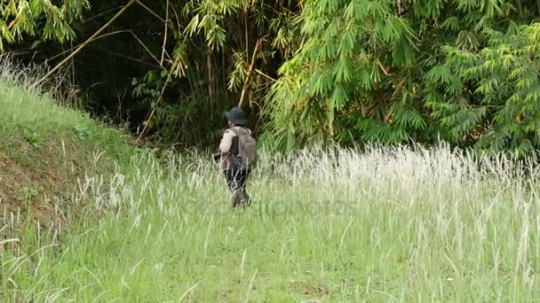 Una señora caminando en el campo de flores blancas junto al bosque . — Vídeos de Stock