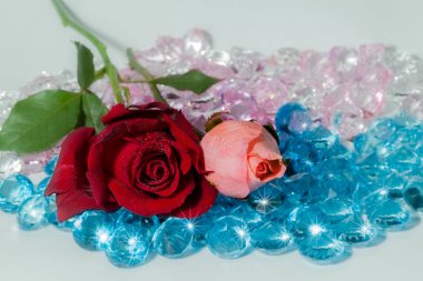 kırmızı gül ve pembe renkli değerli taşlar üzerinde gül çiçektir.