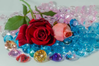 kırmızı gül ve pembe renkli değerli taşlar üzerinde gül çiçektir.