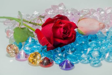 kırmızı gül ve pembe renkli değerli taşlar üzerinde gül çiçektir.