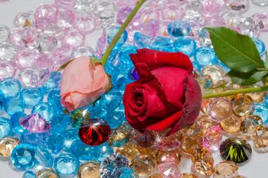 kırmızı gül ve pembe renkli değerli taşlar üzerinde gül çiçektir.