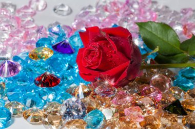  renkli değerli taşlar üzerinde kırmızı gül çiçek