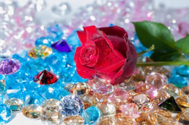  renkli değerli taşlar üzerinde kırmızı gül çiçek