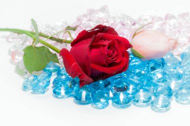  renkli değerli taşlar üzerinde kırmızı gül çiçek