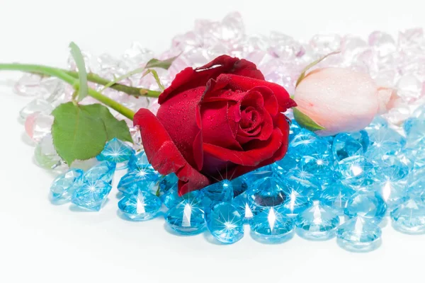  renkli değerli taşlar üzerinde kırmızı gül çiçek