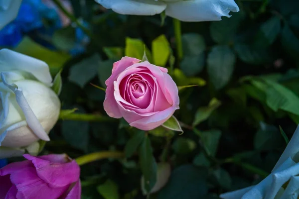 Dekoracje kwiatowe róże dla zdarzenia ślub — Zdjęcie stockowe